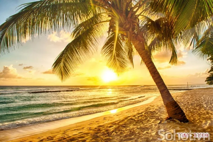 Tranh phong cảnh bình minh, tràn đầy NĂNG LƯỢNG, khởi đầu ngày mới - Hà Nội  - SoHot.vn