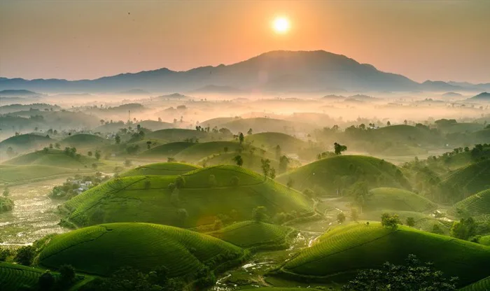 Việt Nam bình yên