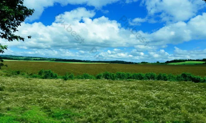 Tải miễn phí Phong Cảnh Miền Quê Yên Bình Dưới Hình Nền ảnh Mây Nhiếp Ảnh |  JPG chuyên nghiệp - Pikbest