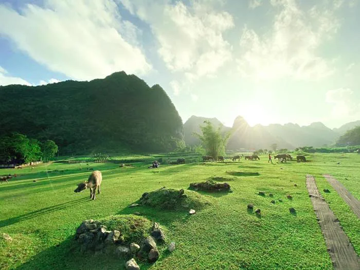 Tìm Về Bình Yên: Hành Trình Của Những Bức Ảnh Đẹp “Tự Tay” Khám Phá! -  Ohana Travel - Gửi Trọn Yêu Thương