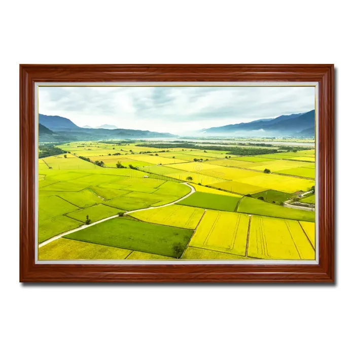Tranh phong cảnh cánh đồng lúa chín vàng Amia41115