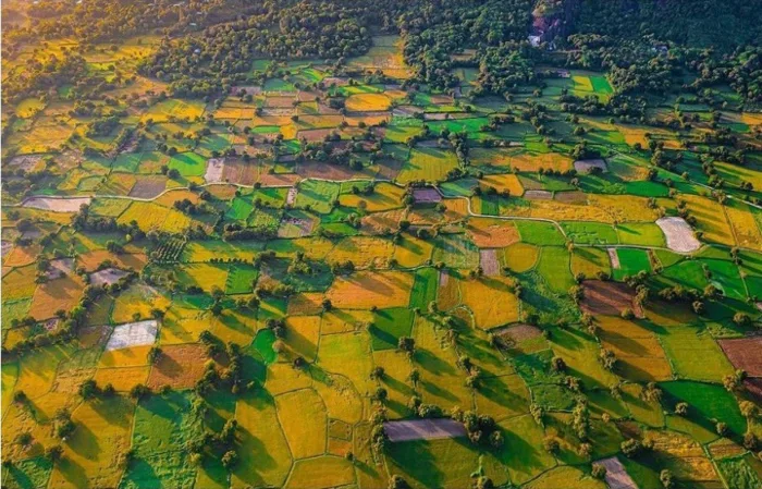 Cánh đồng độc đáo nhất miền Tây đẹp như tranh vẽ với các thửa ruộng màu sắc
