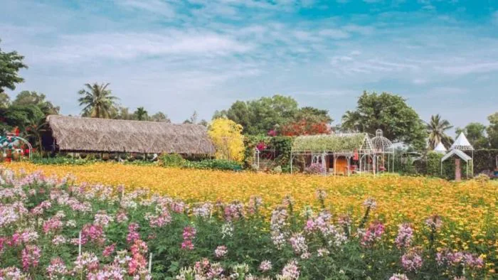 10 cánh đồng hoa đẹp nhất Việt Nam được giới trẻ sống ảo mê mệt