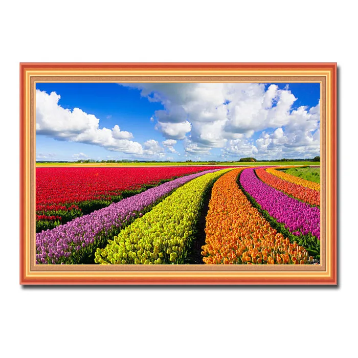 Mẫu tranh phong cảnh cánh đồng hoa tulip đẹp HTL055
