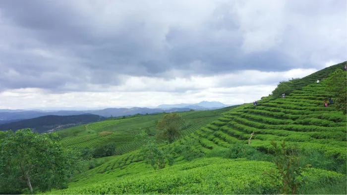 Top những cao nguyên đẹp nhất Tây Nguyên - Thiên đường cho những tâm hồn  yêu xê dịch