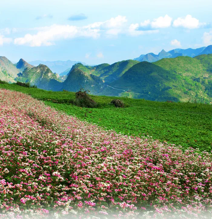 Cao nguyên đá Đồng Văn - “Thiên đường xám” giữa miền sơn cước