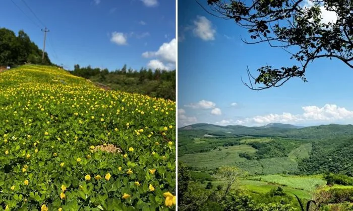 Cao nguyên Vân Hòa - Vẻ đẹp mộng mơ tựa Đà Lạt phương Nam | Green SM