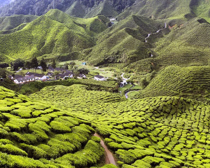 Những cao nguyên đẹp nổi tiếng Thế Giới | FOCUS ASIA TRAVEL