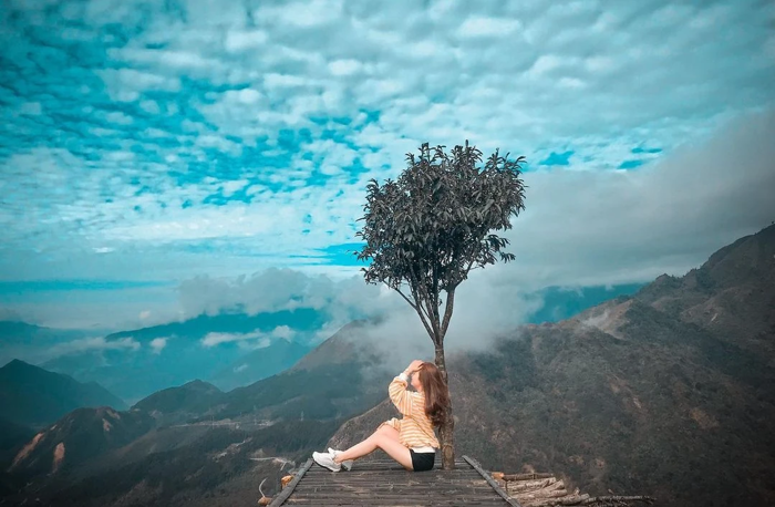 Giải mã sức hút cây cô đơn ở Sa Pa Giải mã sức hút cây cô đơn ở Sa Pa