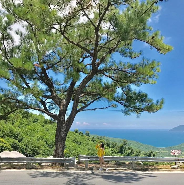 Top 5 Cây Cô Đơn Ở Việt Nam Được Check In Nhiều Đến Nỗi Không Còn Lẻ Loi Nữa Top 5 Cây Cô Đơn Ở Việt Nam Được Check In Nhiều Đến Nỗi Không Còn Lẻ Loi Nữa