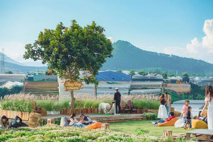 Đến Chạng Vạng đắm mình trong vẻ đẹp của Đà Lạt qua từng thời khắc trong  ngày