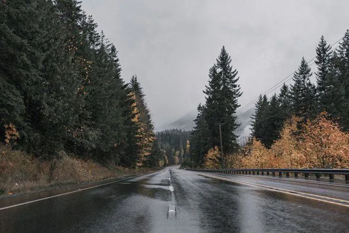Thêm một vài ảnh aesthetic về chạng vạng 🌲📖🌘 : r/twilight