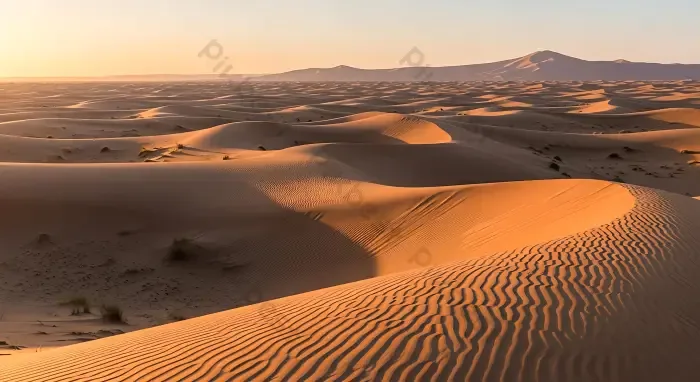 Tải miễn phí Sa Mạc Sahara Cồn Cát Lúc Hoàng Hôn Phong Cảnh Cát Vàng Nhiếp  Ảnh | JPG chuyên nghiệp - Pikbest