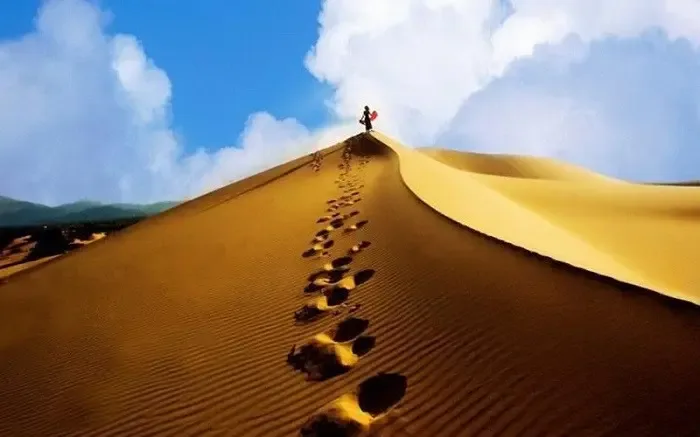 Đồi cát Quảng Bình - Vẻ đẹp hoang sơ, hùng vĩ của sa mạc cát miền Trung