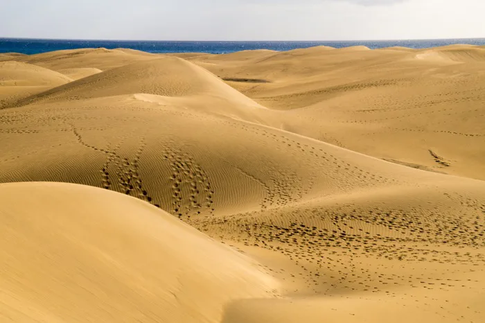 hình ảnh : phong cảnh, thiên nhiên, Sa mạc, Cồn cát, Đồng cỏ, môi trường  sống, Gran canaria, Sahara, Wadi, Maspalomas, Hình thái đất, Erg, các đụn  cát, môi trường tự nhiên,