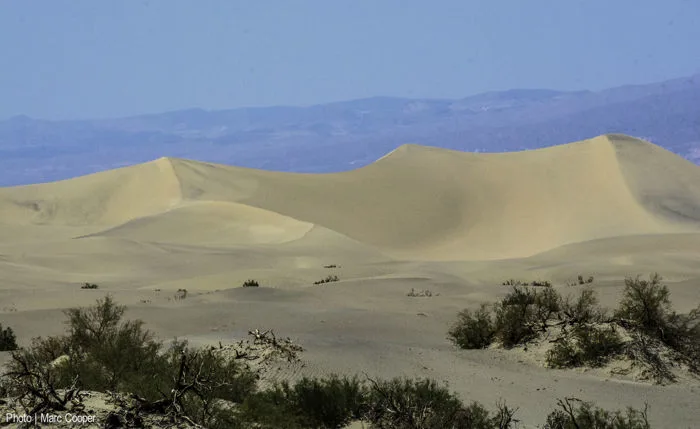 hình ảnh : phong cảnh, Sa mạc, Cồn cát, Hình ảnh mát mẻ, các đụn cát, cao  nguyên, Mesquitesanddunes, Deathvalleysanddunes, Mesquitesandflats, môi  trường sống, tôi, Hệ sinh thái, Wadi, Hình thái đất,