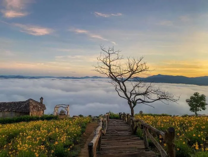 anh-phong-canh-da-lat-1
