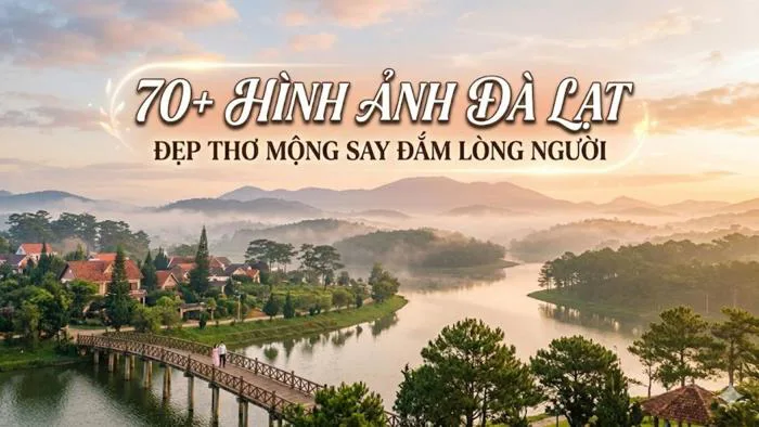 70+ Hình ảnh Đà Lạt đẹp thơ mộng say đắm lòng người