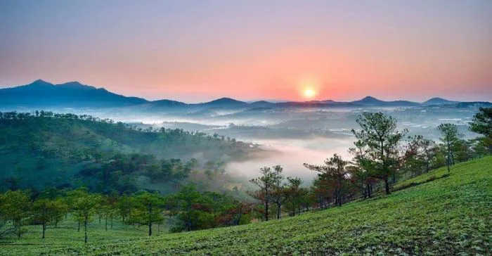 Khám phá vẻ đẹp của những background Đà Lạt