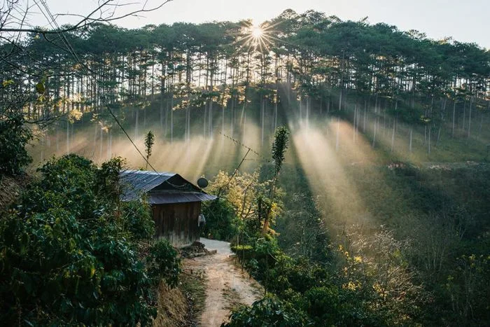 Ảnh: Những hình ảnh đẹp về Đà Lạt đầy thơ mộng và lãng mạn