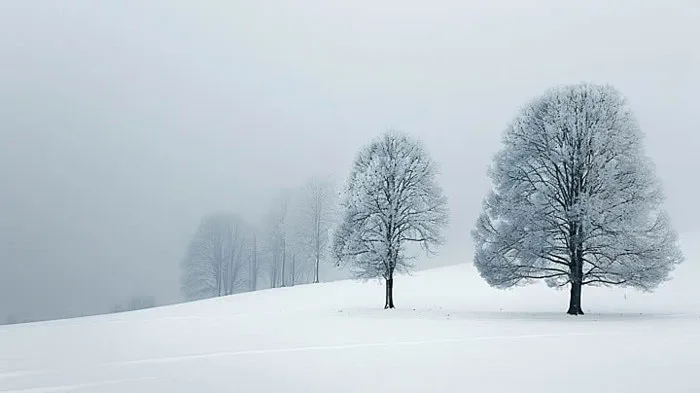 100,000+ Phong Cảnh đen Trắng Pictures Ảnh, Ảnh Và Hình Nền Để Tải Về Miễn  Phí - Pngtree