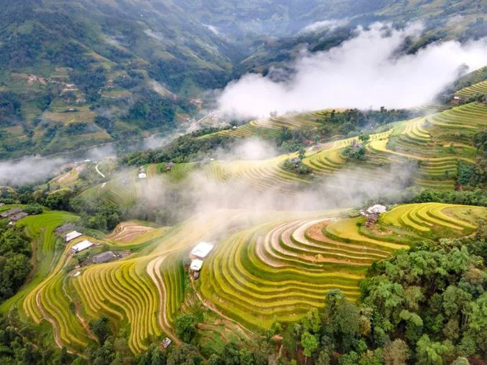 Phong cảnh đẹp ở Việt Nam và hành trình xuôi dòng thưởng ngoạn