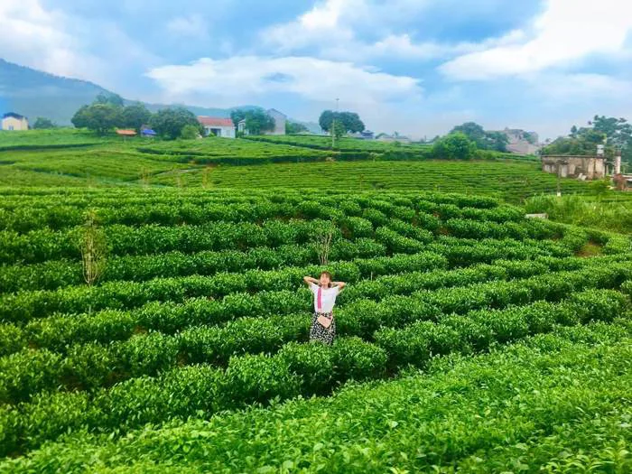 Tips Tham Quan Đồi Chè Thái Nguyên - Kinh Nghiệm Từ A - Z