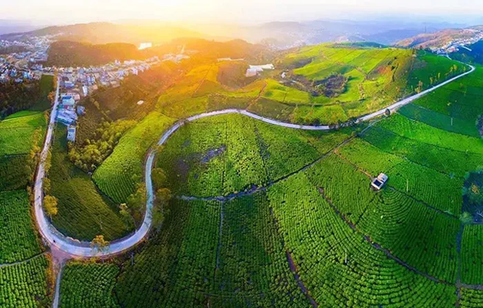 Khám phá 10 đồi trà đẹp như tranh ở Việt Nam