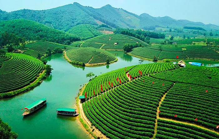 Khám phá 10 đồi trà đẹp như tranh ở Việt Nam