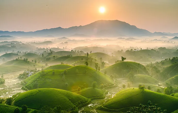 Khám phá 10 đồi trà đẹp như tranh ở Việt Nam