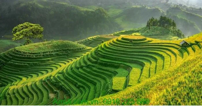 Tranh phong cảnh làng quê đơn giản treo phòng ngủ