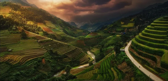 anh-phong-canh-goc-rong-1