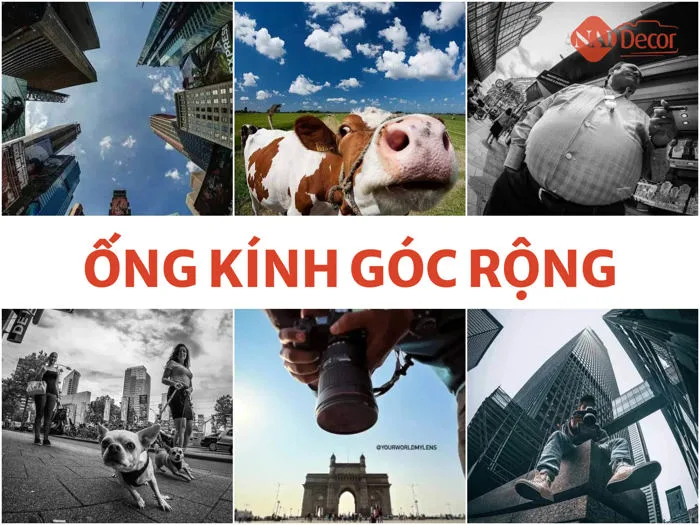 Sáng tạo không giới hạn nhờ Ống kính góc rộng