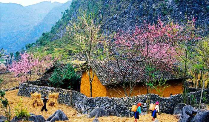 anh-phong-canh-ha-giang-1