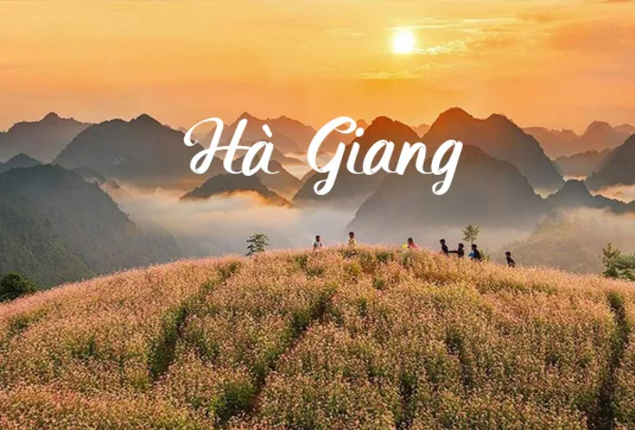 Du Lịch Hà Giang Mùa Nào Đẹp Nhất? Đây Mới Là Câu Trả Lời Bạn Cần