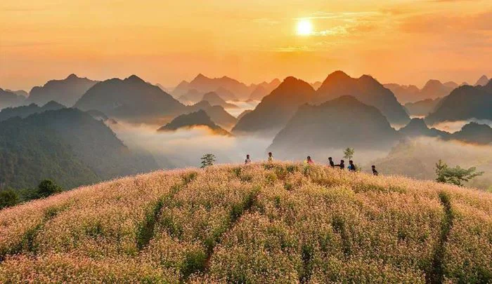 Hà Giang tháng 10 có gì thú vị? Gợi ý 5 điểm đến đẹp