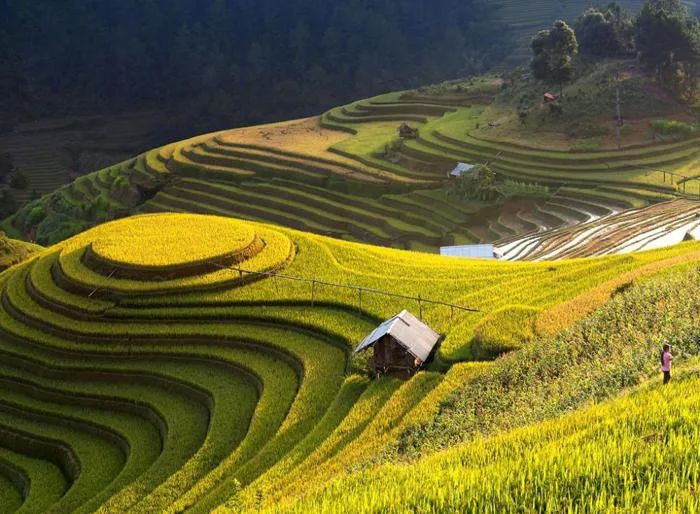 Cẩm nang du lịch Hà Giang từ A đến Z mới nhất - Vietgoing