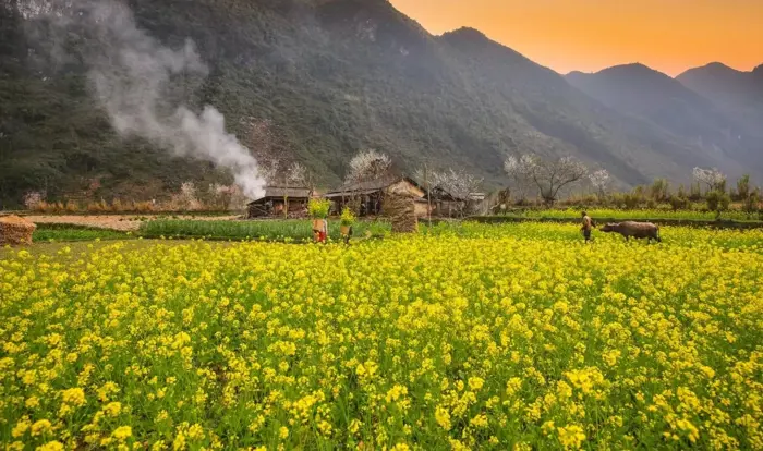 Top 15 địa điểm du lịch Hà Giang nổi tiếng 