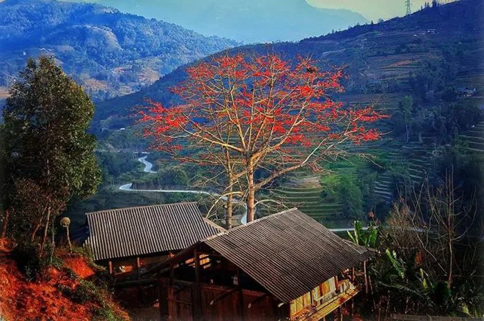 Chi phí du lịch Hà Giang 3 ngày 2 đêm