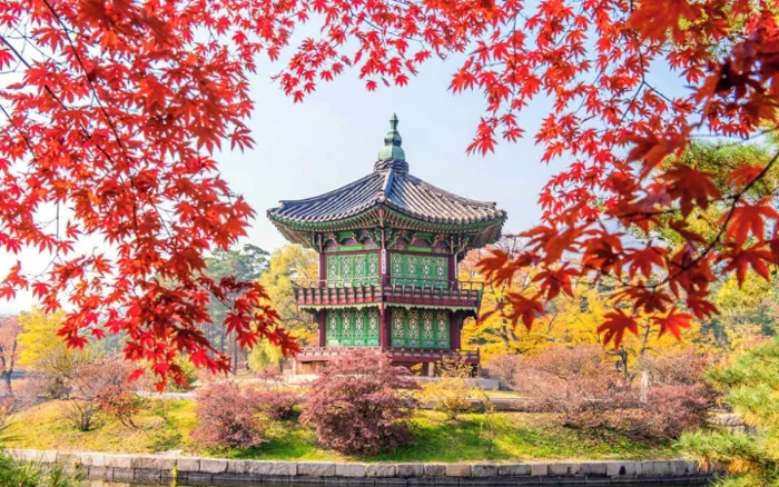 Top 9 cảnh đẹp mùa thu Hàn Quốc không thể bỏ lỡ - TransViet Travel