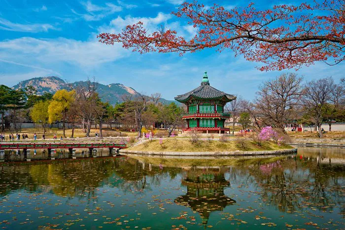 Chia Sẻ Miễn Phí Bộ Background Phong Cảnh Hàn Quốc Mùa Thu Tuyệt Đẹp
