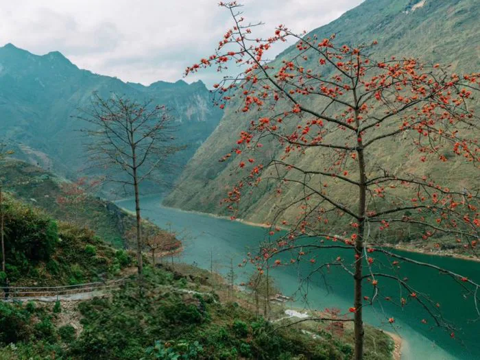 Review hẻm Tu Sản – điểm du lịch nổi tiếng của Hà Giang - Bee Travel Review hẻm Tu Sản – điểm du lịch nổi tiếng của Hà Giang - Bee Travel