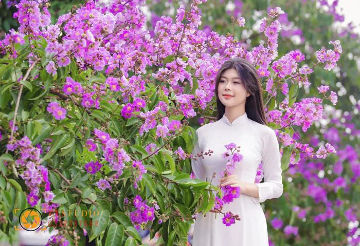 Địa điểm chụp ảnh hoa bằng lăng ở Hà Nội Địa điểm chụp ảnh hoa bằng lăng ở Hà Nội
