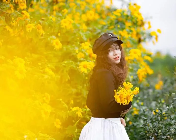 Đến những nơi đây thoải mái chụp hình với hoa dã quỳ bung nở tuyệt đẹp