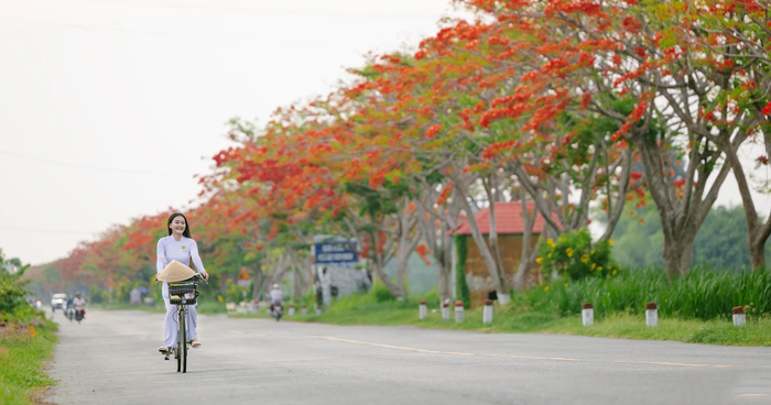 anh-phong-canh-hoa-phuong-do-1