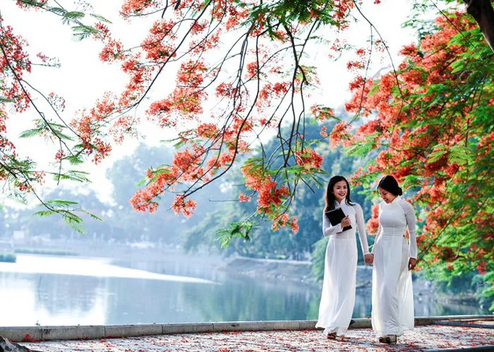8 mùa Lễ hội Hoa Phượng Đỏ - Đặc sắc dấu ấn tháng 5