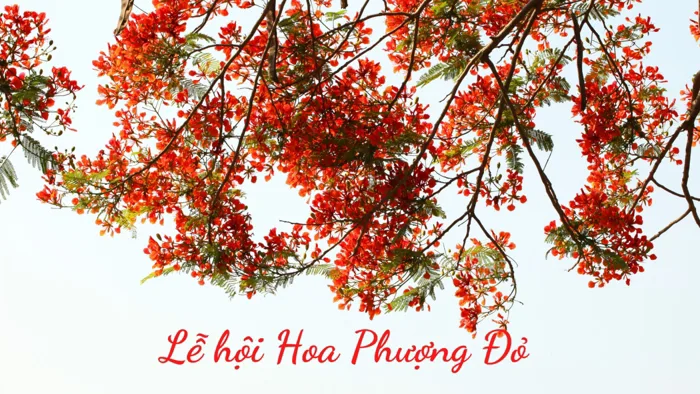 Lễ hội Hoa Phượng Đỏ 2023 “Hải Phòng – Tỏa sáng miền cửa biển”