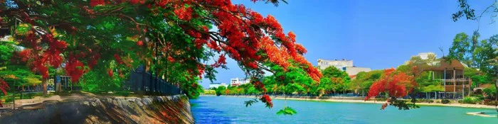 Lễ hội Hoa phượng đỏ Hải Phòng: Dấu ấn miền đất cảng