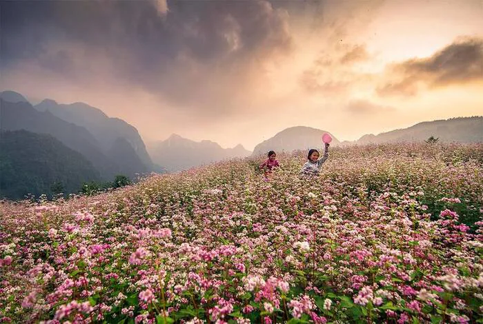 anh-phong-canh-hoa-tam-giac-mach-1