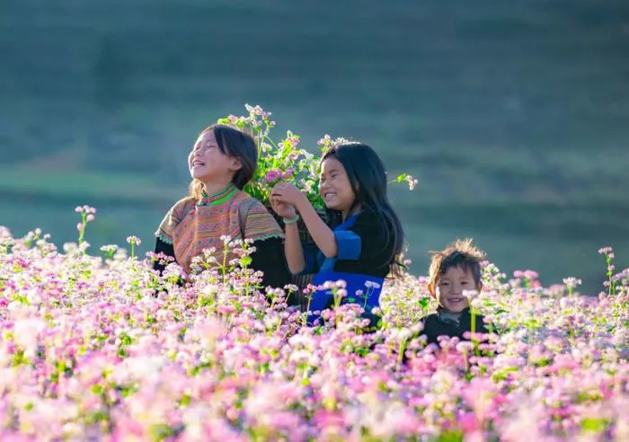 Ngắm Tam Giác Mạch Đẹp Nhất Ở Đâu Hà Giang? Top Góc Chụp Triệu View Cho Mùa  Hoa 2025